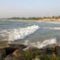 Bentota beach 85x85