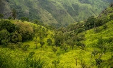 Horton Plains